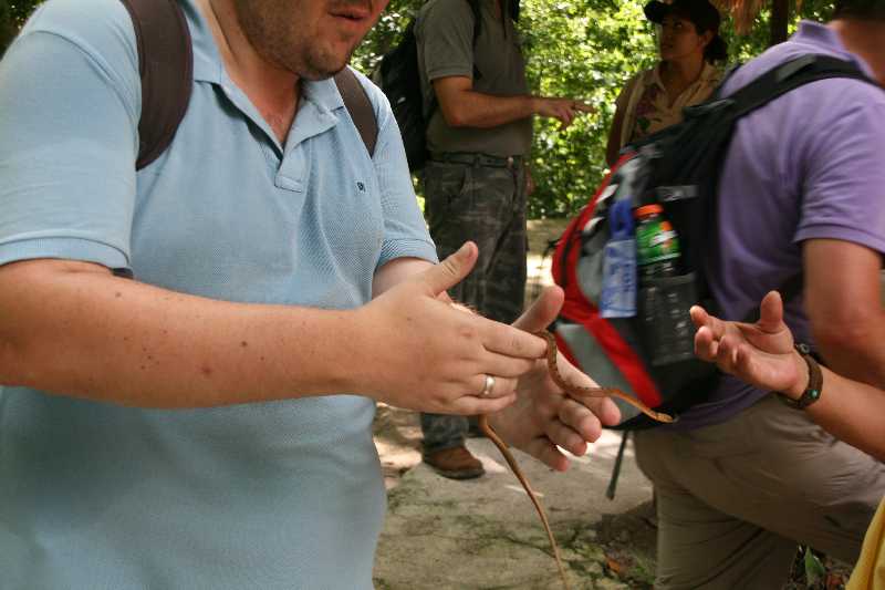 Mexico & Guatemala 2010 - 1092